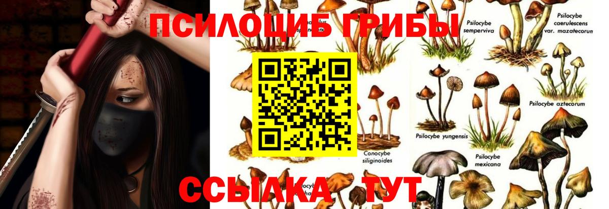 Псилоцибиновые грибы MAGIC MUSHROOMS  Галлюциногенные грибы мицелий  Десногорск  Вход с VPN 